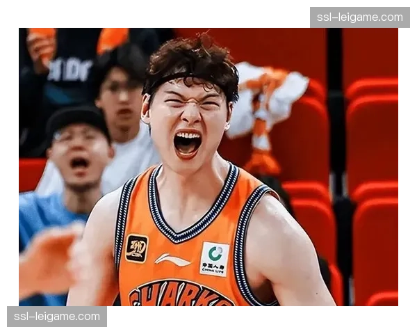 上海王哲林怀特塞德洛夫顿 内线三大强点优势明显